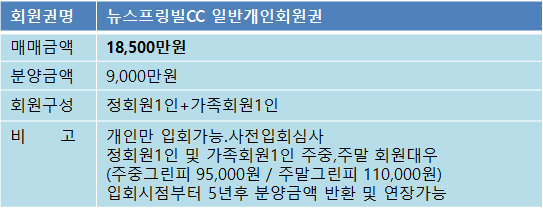 뉴스프링빌9천개인매물.png