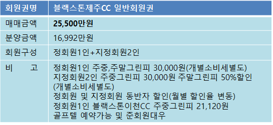 블랙스톤제주169매물.png