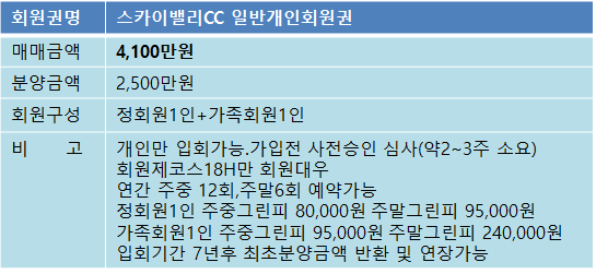 스카이밸리25매물.png