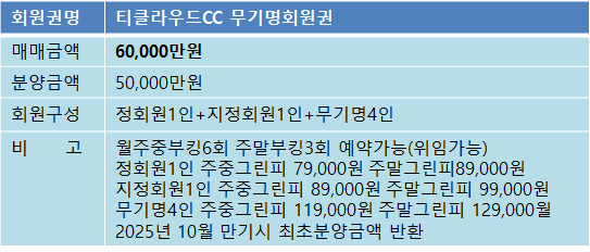 티클라우드5억무기명.png