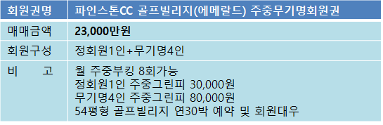 파인스톤에메랄드매물.png