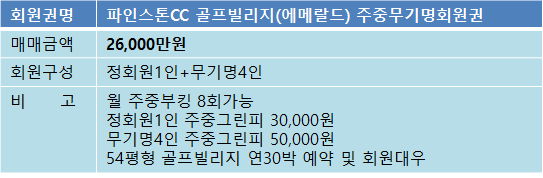 파인스톤에메랄드매물.png