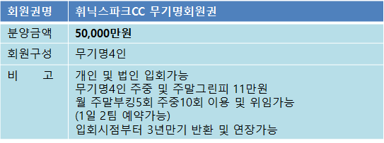 휘닉스5억무기명매물.png