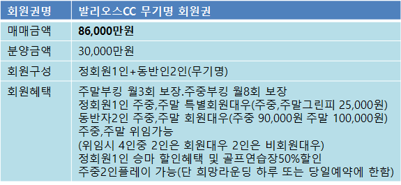 발리오스3억무기명매물.png